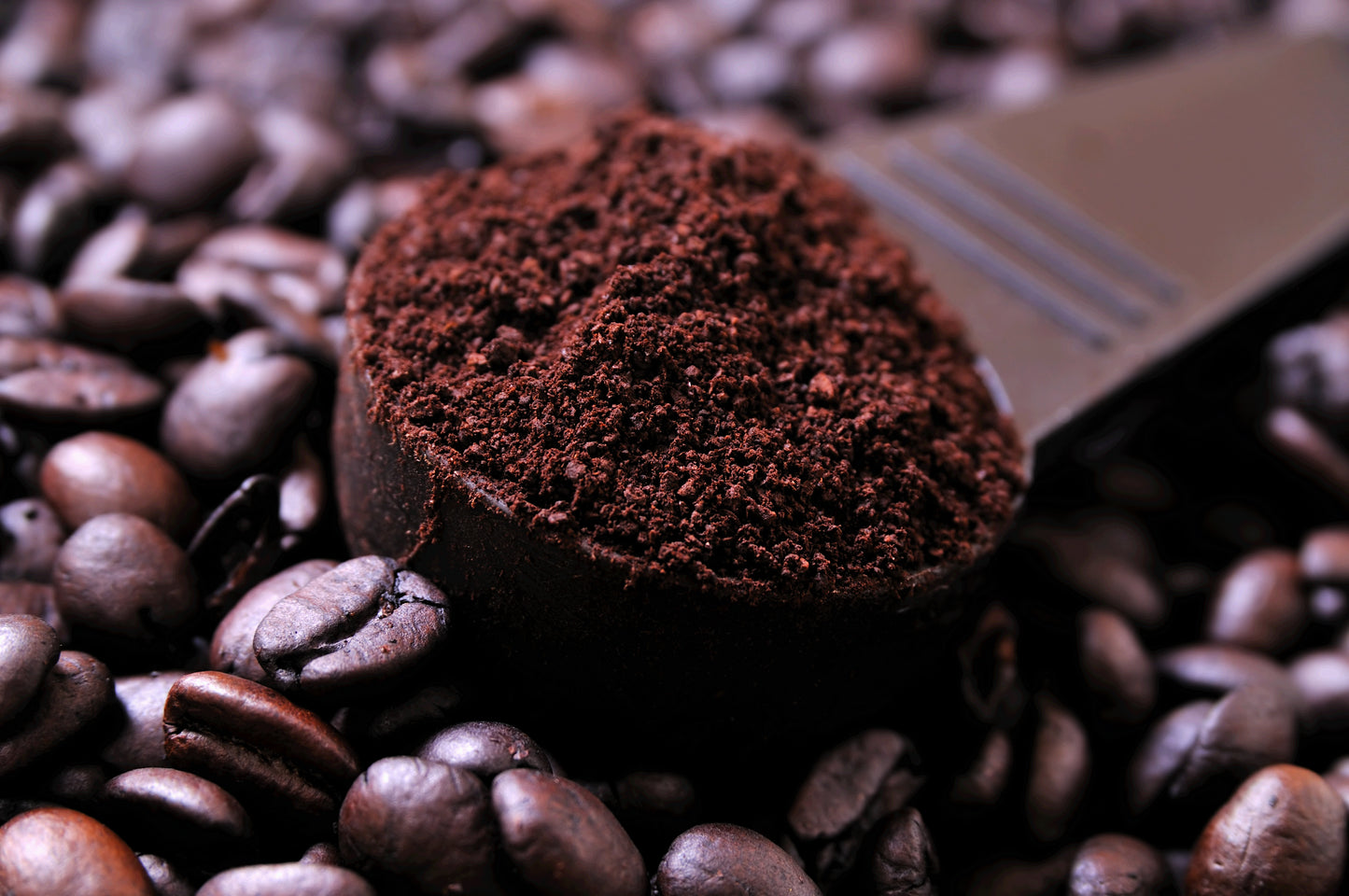 Spoonful of ground coffee surrounded by coffee beans