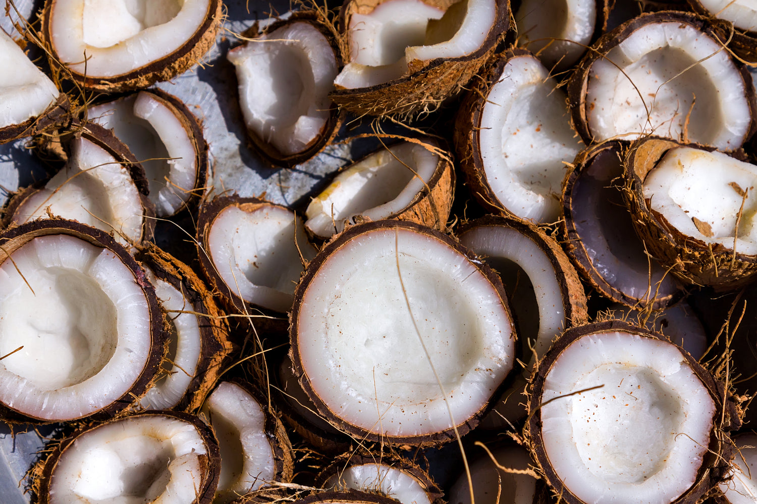 Halved coconuts in a pile