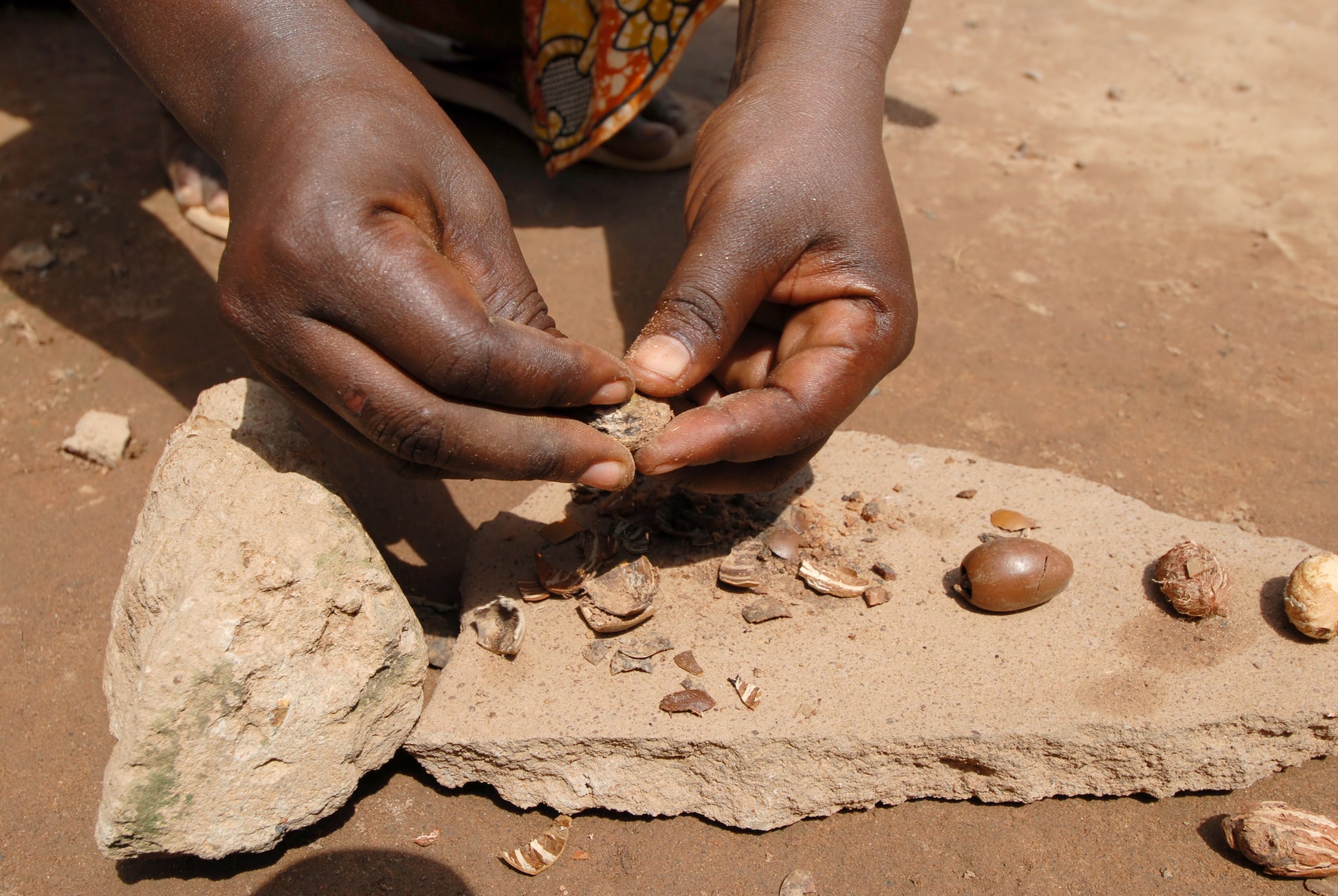 Image of woman peeling a shea nut