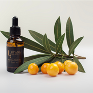 Amber glass bottle with Marula Oil, next to Marula fruits