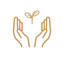 Gold outline of two hands holding a small plant on a white background
